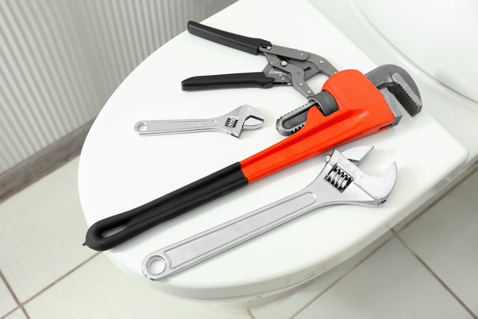 Toilet Installation Service